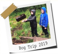 Click here to see photos from our trip to the bog