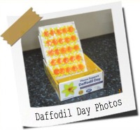 Click here to see photos from the recent daffodil day